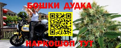твердый Кингисепп