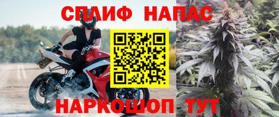 сатива Кинель