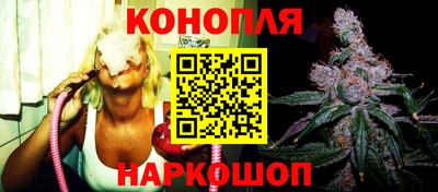 твердый Кингисепп